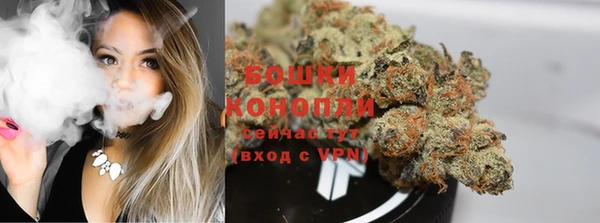 круглые Вяземский