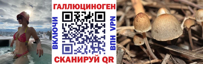 Псилоцибиновые грибы ЛСД Звенигово